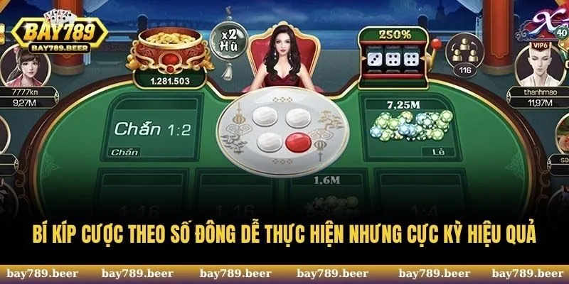 Bí kíp cược theo số đông dễ thực hiện nhưng cực kỳ hiệu quả