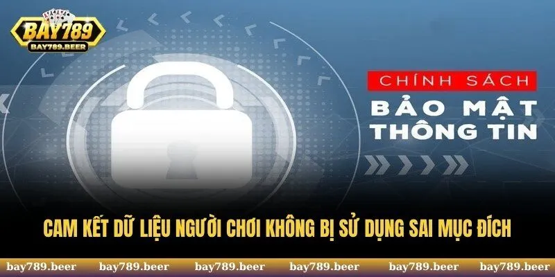 Chính sách bảo mật cam kết dữ liệu người chơi không bị sử dụng sai mục đích
