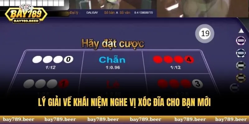 Lý giải về khái niệm nghe vị Xóc Đĩa cho bạn mới tham gia vào siêu phẩm