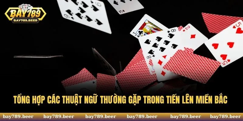 Tổng hợp các thuật ngữ thường gặp trong tiến lên miền Bắc 